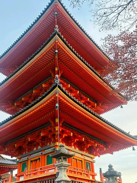 🌸 Breathe in and out, let's talk about Kyoto in one go! 🌸