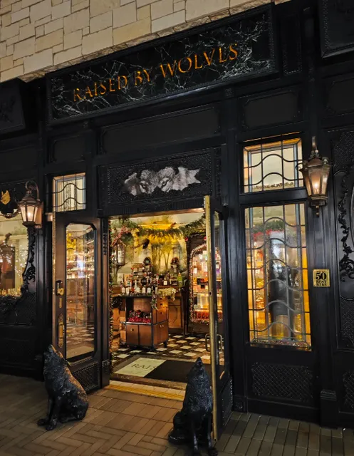 Raised by Wolves 🐺｜Hidden Bar in San Diego