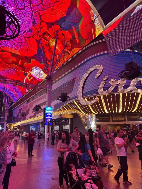  Las Vegas After Dark 