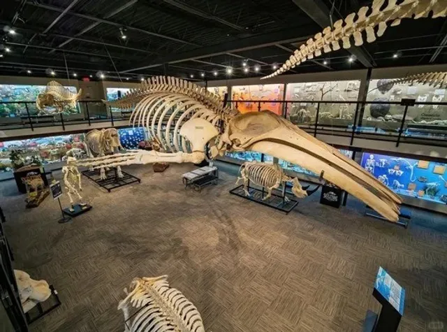 🇺🇸 Official Oklahoma City Guide: North America Road Trip (Part 3) 🚗