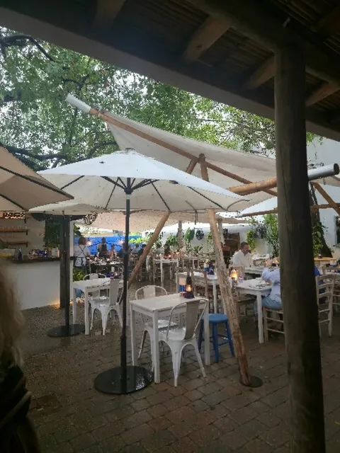 Great Miami Restaurant with Beautiful Ambiance & Delicious Food! 🌴