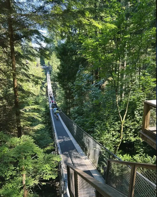  Vancouver's Best Parks for Urban Escapes​​