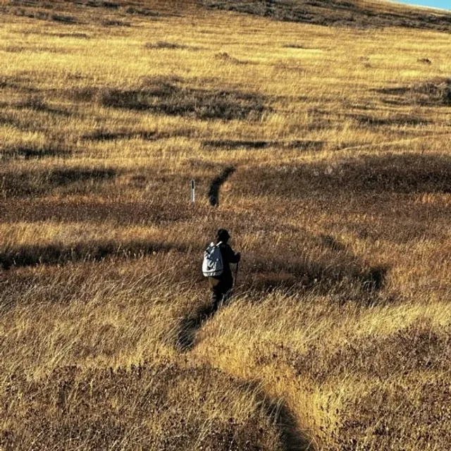 🌾A Wild, Wonderful Adventure in the Prairies!
