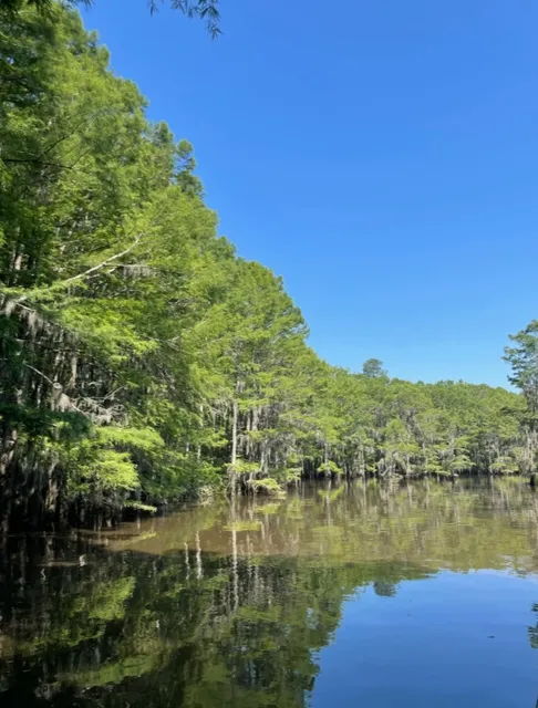 ⭐️ Two-Day Trip to Caddo Lake Near Dallas, Texas!