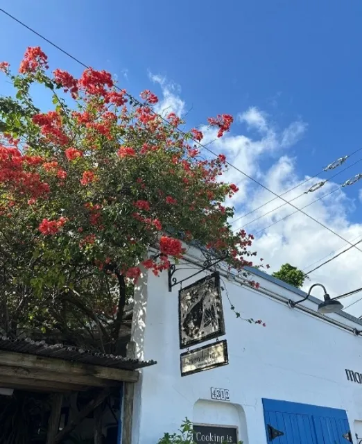 My Experience at Mandolin Aegean Bistro!