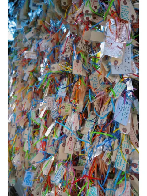 Seattle | Wishing Tree 📮