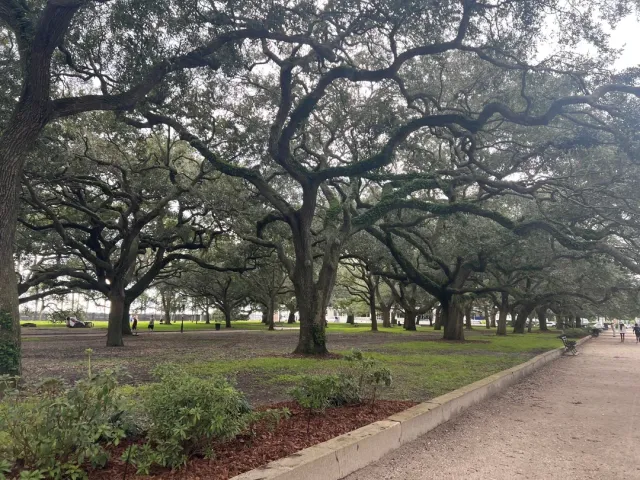 The Best B&B in Charleston! 🏡💖