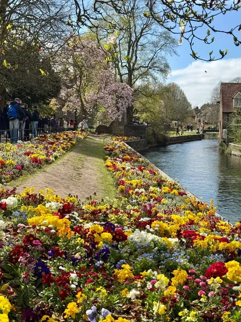 London Day Trip | Canterbury Flower Season Guide 🌸