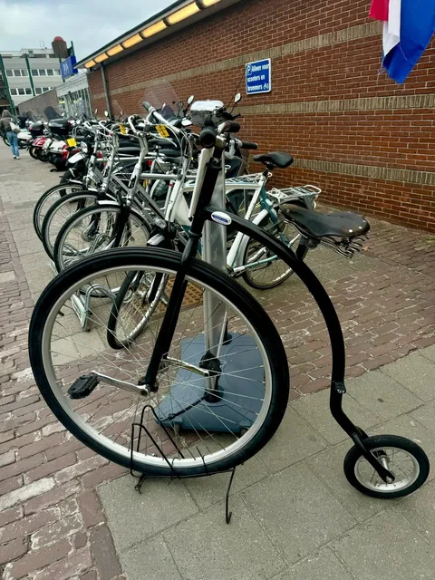 🇳🇱 Step into a Dutch Spring Postcard 