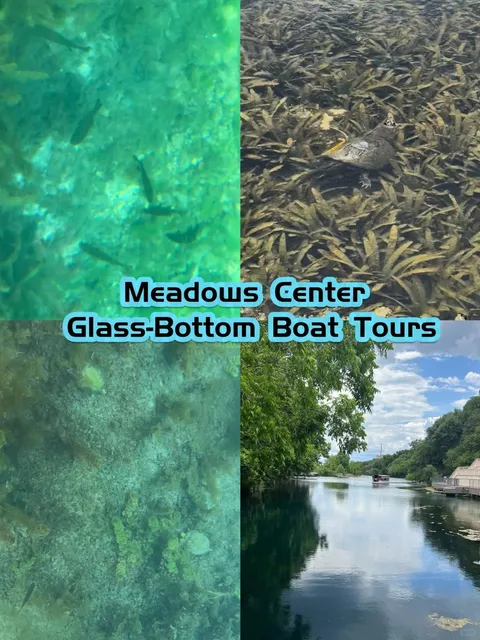 Day Trip from Dallas: San Marcos