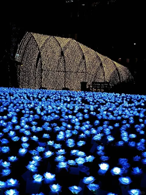 London Winter’s Limited Romance 💕