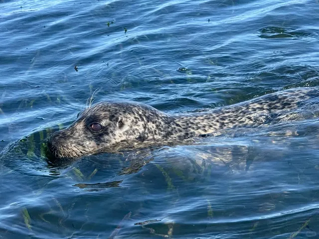  Is This the Happiness You Can Get Just an Hour’s Drive from the Bay？