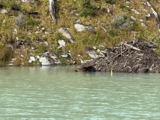 🇦🇷 Laguna Esmeralda: The "Budget King" of Ushuaia Hikes! 💎🏔️
