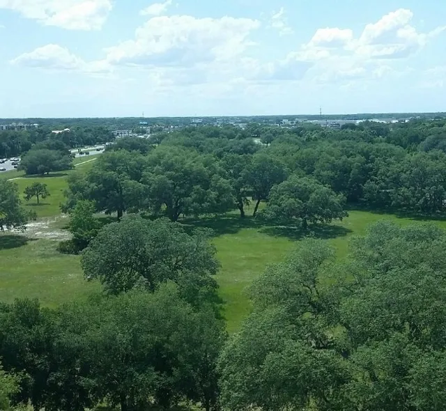 Having a wonderful time at the beautiful hotel in Tampa!