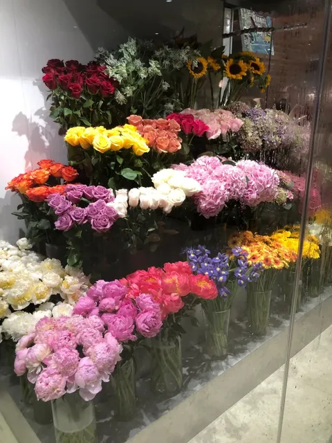 Coffee Time in New York 🌟