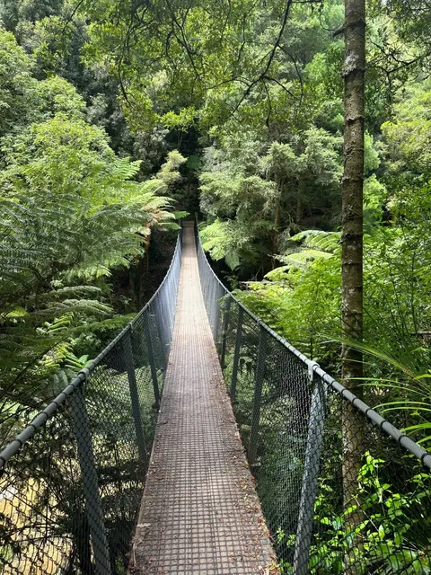  Hunua Falls, Auckland | Hidden Instagram-Worthy Bridge 📸✨  