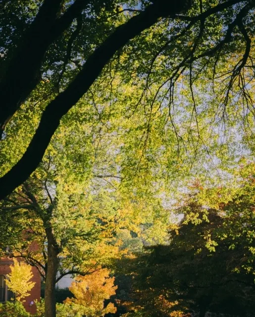 A Weekend in Rhode Island's Towns