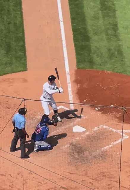 New York Exploration: Yankee Baseball Game 🎾