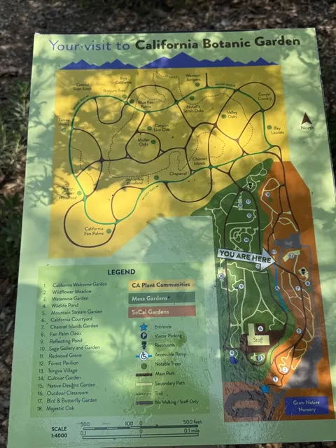 🇺🇸 Get Close to Nature｜CA Botanic Garden 🪴🌴💐