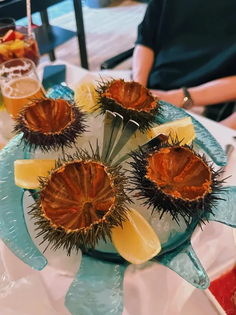 🇪🇸 Let’s Go to Alicante for Sea Breezes & Divine Red Prawns! 🦐