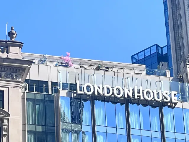 Chicago LH RT ROCKED!!