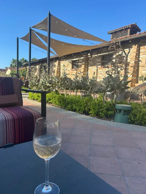 🍷 Love the Food, Drinks & Vibe! 🍴