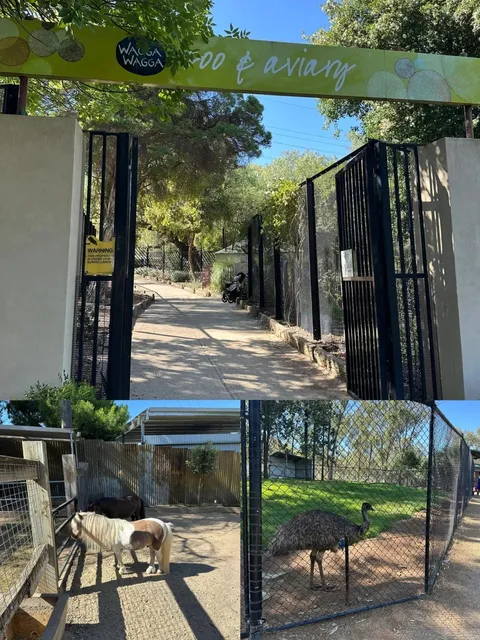 🌿 Wagga Wagga: The Heartbeat of Riverina, NSW