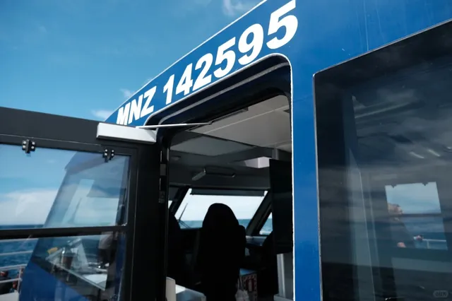 🇳🇿 NZ | If You Have Just One Day, Spend It in Kaikoura! 🐳✨