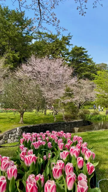 First Time in Shizuoka Prefecture, Where to Go Besides Mount Fuji? 🌄