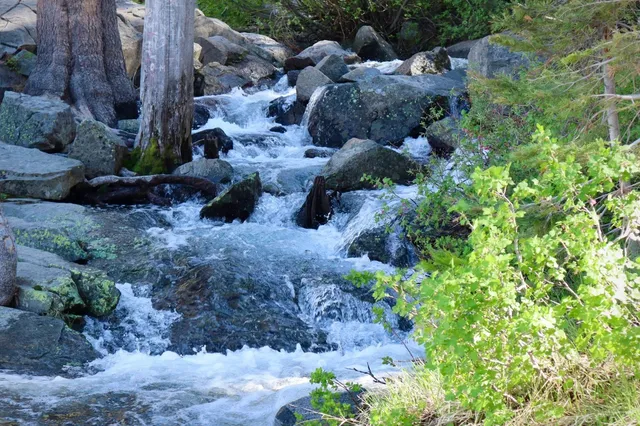 🏔️ Lake Tahoe | 2 Days 1 Night