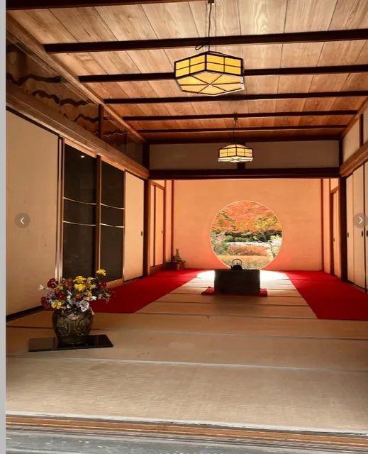 Kamakura's Hidden Temple Tour During the Autumn Leaves (2)🍁