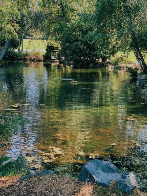 Seaside Half-Day in Tacoma 🥰｜Mt. Rainier Views + Roses 🌹🏔️