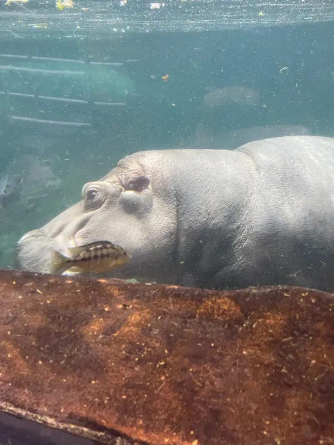 🇺🇸 Near NYC | 3-Day Philadelphia Itinerary (Part 1)