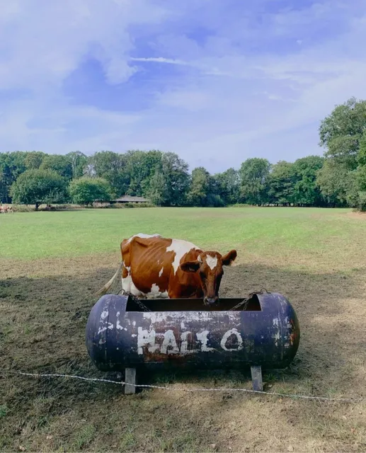 🇳🇱 Maastricht Hiking Trails | Nature Escapes Near the City 🌿