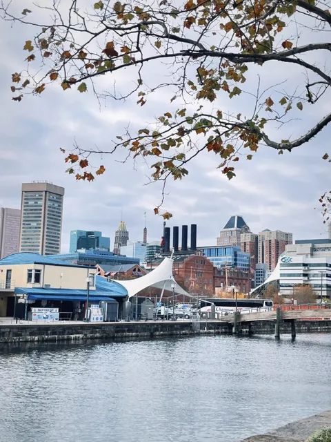 🇺🇸 My Baltimore Day Trip – A Mix of Culture & Caution 😅📸