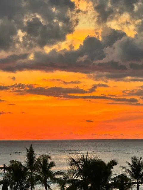 The Best Summer Vacation! 🌺