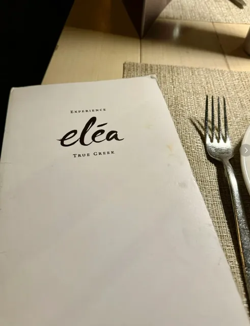 New York | Beware of Greek Food Near Central Park (2)🌟