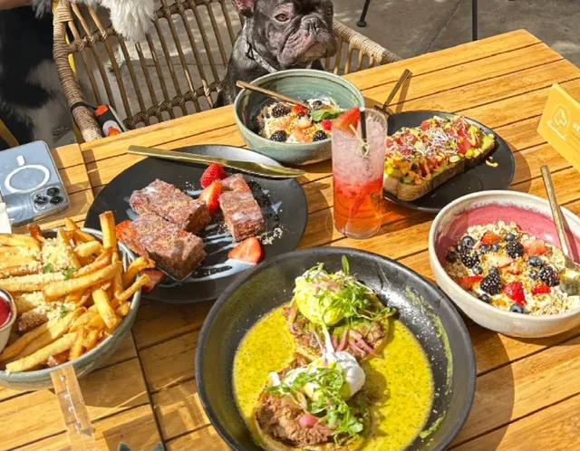 🐾 Palm Springs’ Paw-fect Brunch Spot – Boozehounds Review!  