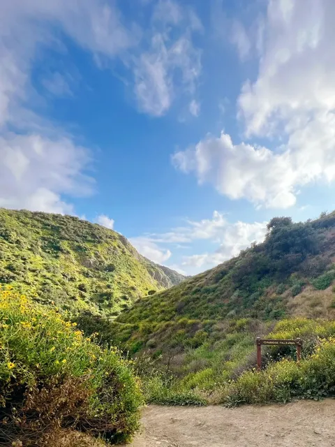 I Found the Valley of the Wind in Los Angeles｜Hiking at Wildwood 🌸🌿