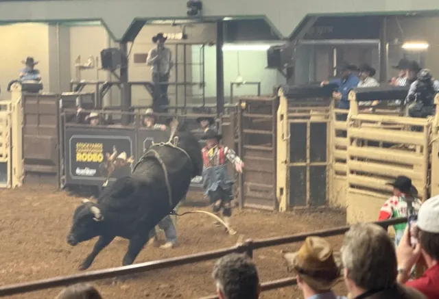 Dallas | An All-Season Nanny-Level Guide | 2