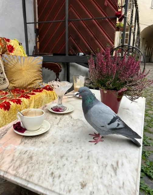 🇪🇪 Tallinn Old Town, Estonia - A Medieval Fairytale Come to Life✨