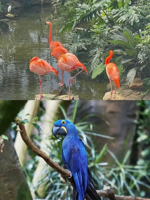 Pittsburgh Weekend Getaways 🎡🤩