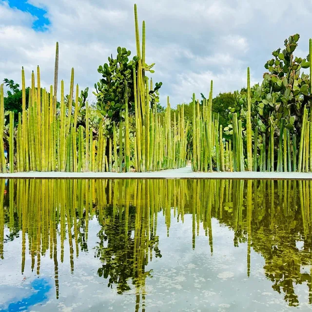 🌿 Oaxaca's Must-See Spots: Where History Meets Hype 🌿🏟️