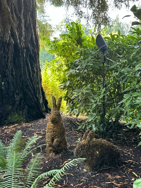 🇨🇦 Victoria Day Trip: Flowers, Fish & Ferry Fails! 