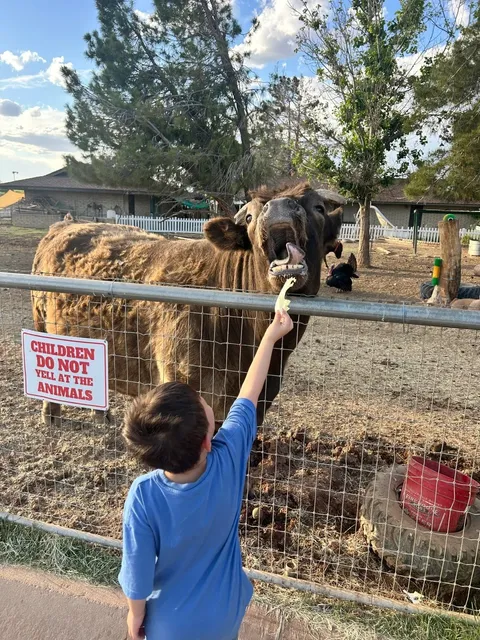 Carl's Damaged Pet Warehouse – A Charming Animal Feeding Farm