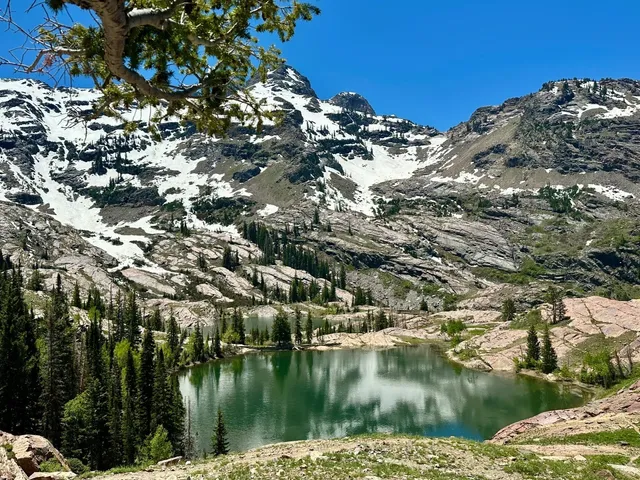 📍I Declare: I’ll Return to Salt Lake City Countless Times! 🏔️✨