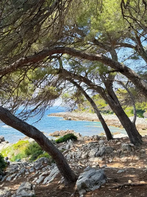 🇫🇷 Antibes Coastal Hike: Finally Got the Perfect Sunny Day!