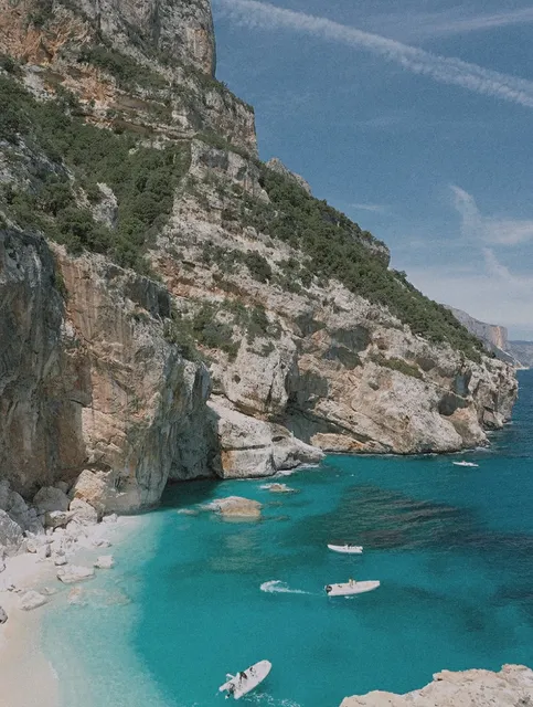 🦩 Sardinia's 4 Best Birdwatching Spots 