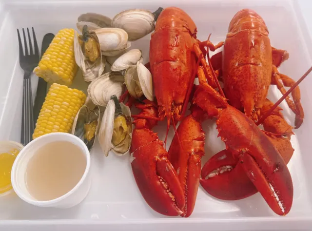 Boston's Alive & Kicking Lobsters Lobster Exploration