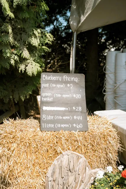 🇨🇦 ​​Emma Lea Farms: Blueberry Bliss for Families!​​ 🫐✨